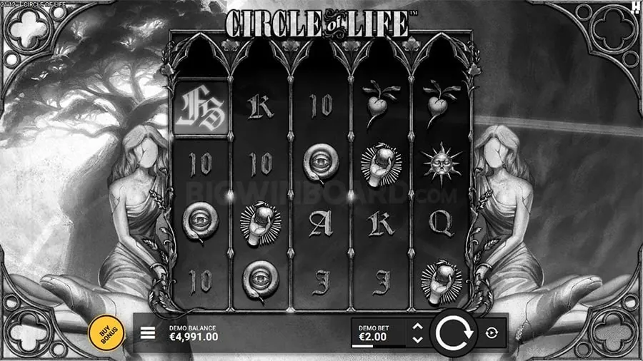 Experience Live Dealer Casino Games